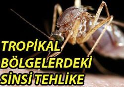 TROPİKAL TEHLİKE